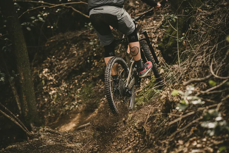 Goodyear Newton Trail MTR Mountain Bike Tubeless Complete - Rear Tyre-1