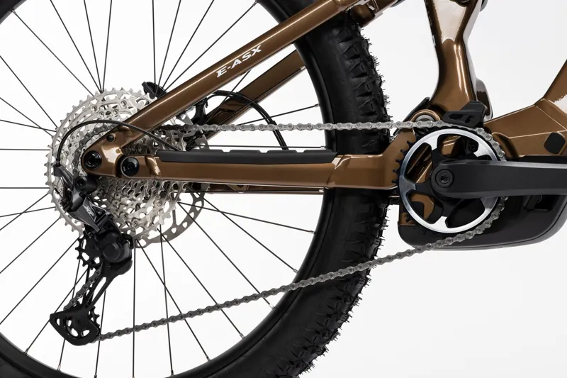 Ghost E-Asx Advanced High E-MTB in Brown Bear/Stone - Glossy-2